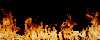 fire4.gif