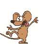 mouse.gif